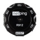 NetPing R912R1 Сетевое оборудование